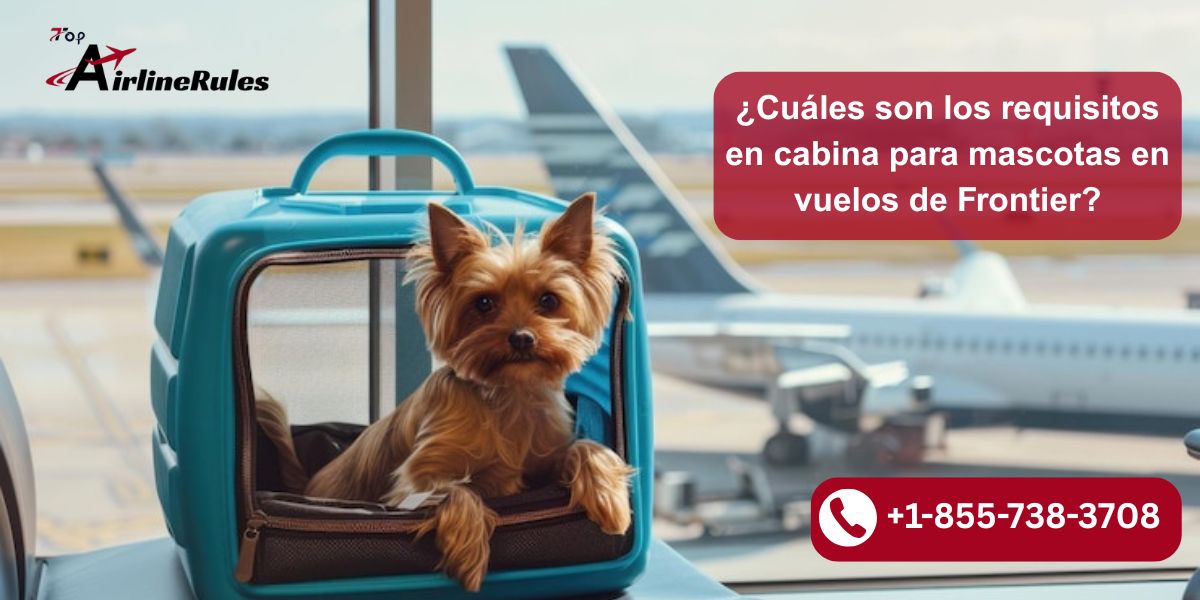 ¿Cuáles son los requisitos en cabina para mascotas en vuelos de Frontier?
